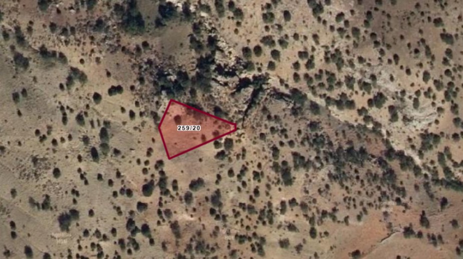 Fotoğraf