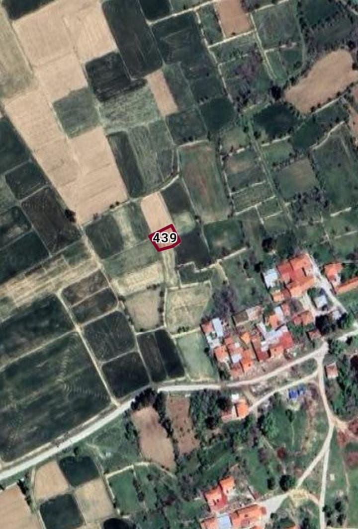Fotoğraf