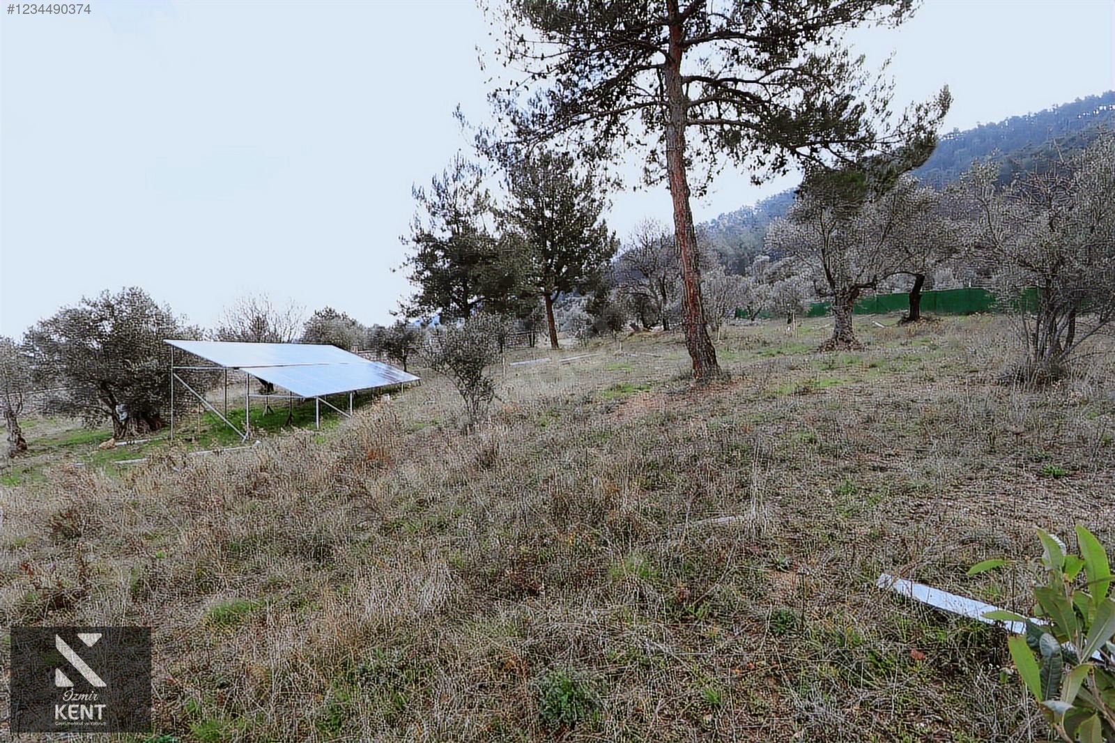 Fotoğraf