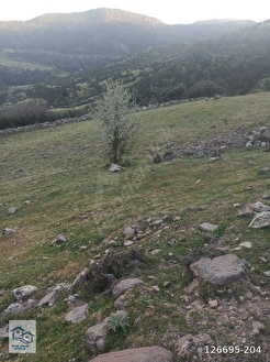 İlan Fotoğrafı