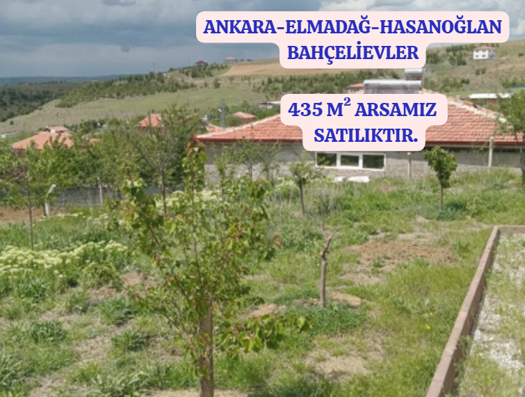 Fotoğraf