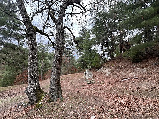 İlan Fotoğrafı