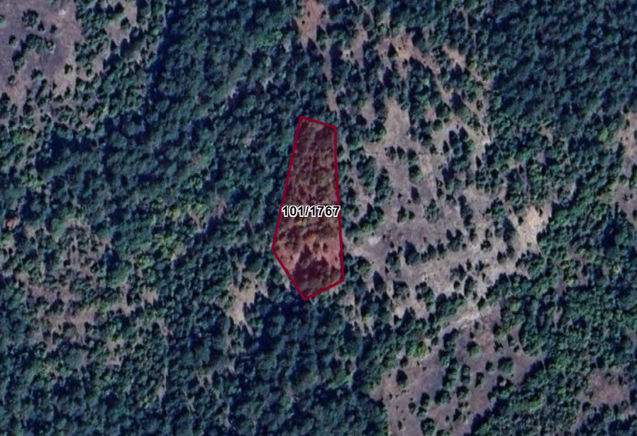 KÜTAHYA DOMANİÇ SARIOT  KÖYÜNDE 2.387 M² TARLA SATILIKTIR