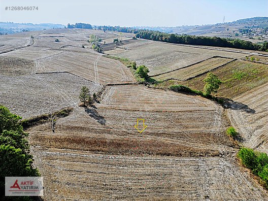 KANDIRA SEYİTALİLER MAHALLESİ'NDE 2663 M2 FIRSAT TARLA