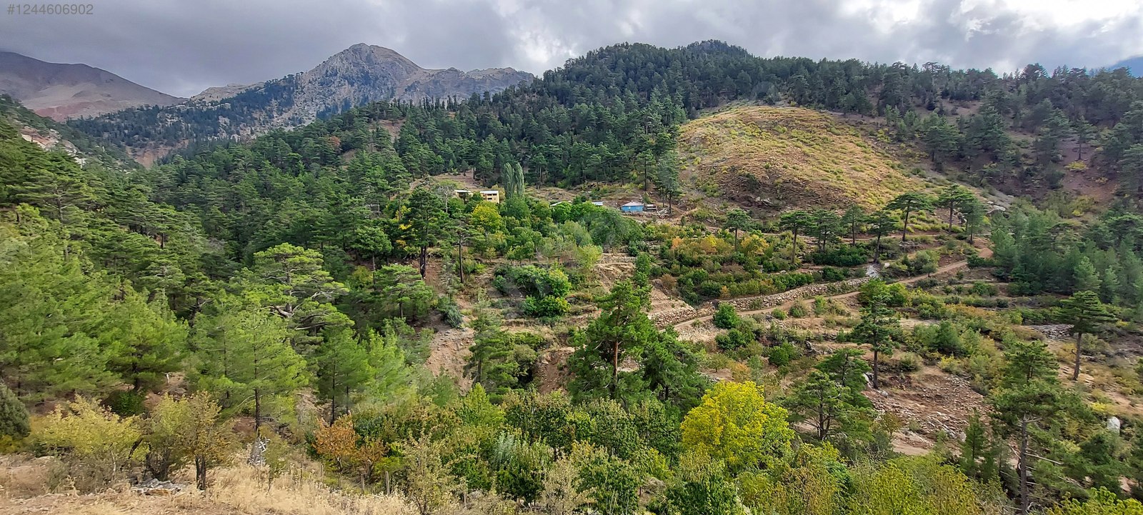 İlan Fotoğrafı
