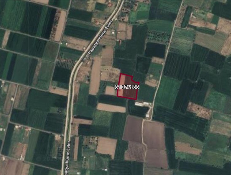 Fotoğraf