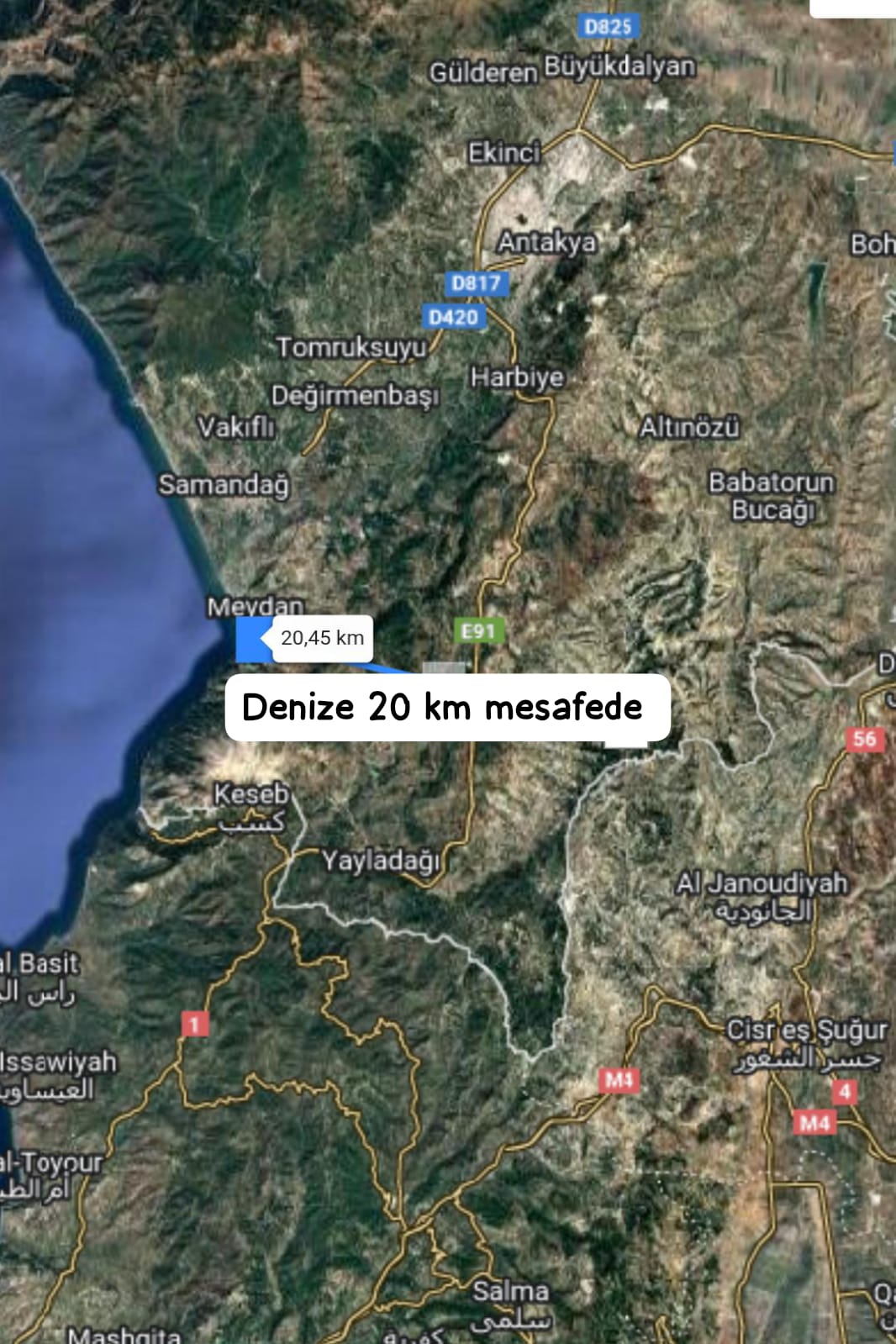 Fotoğraf