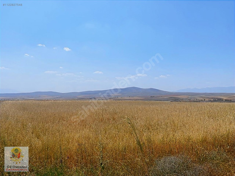 İlan Fotoğrafı