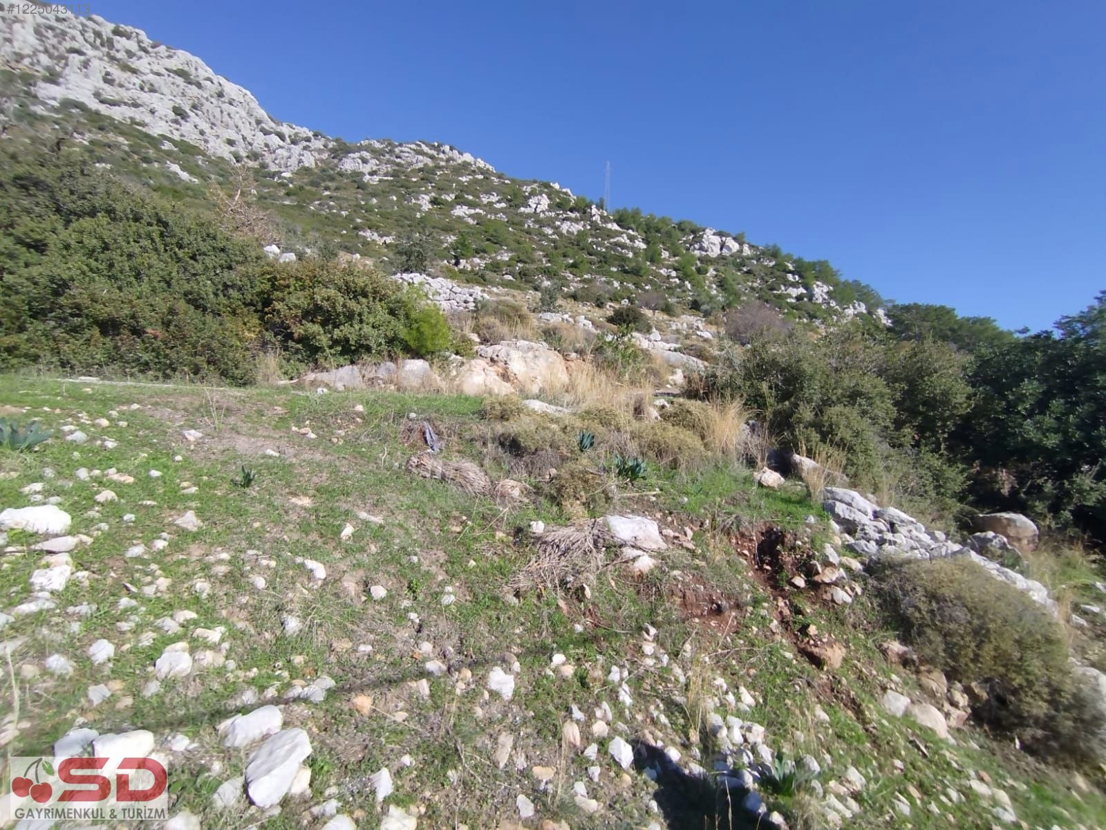 İlan Fotoğrafı