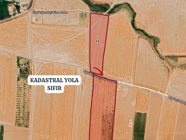 Fotoğraf
