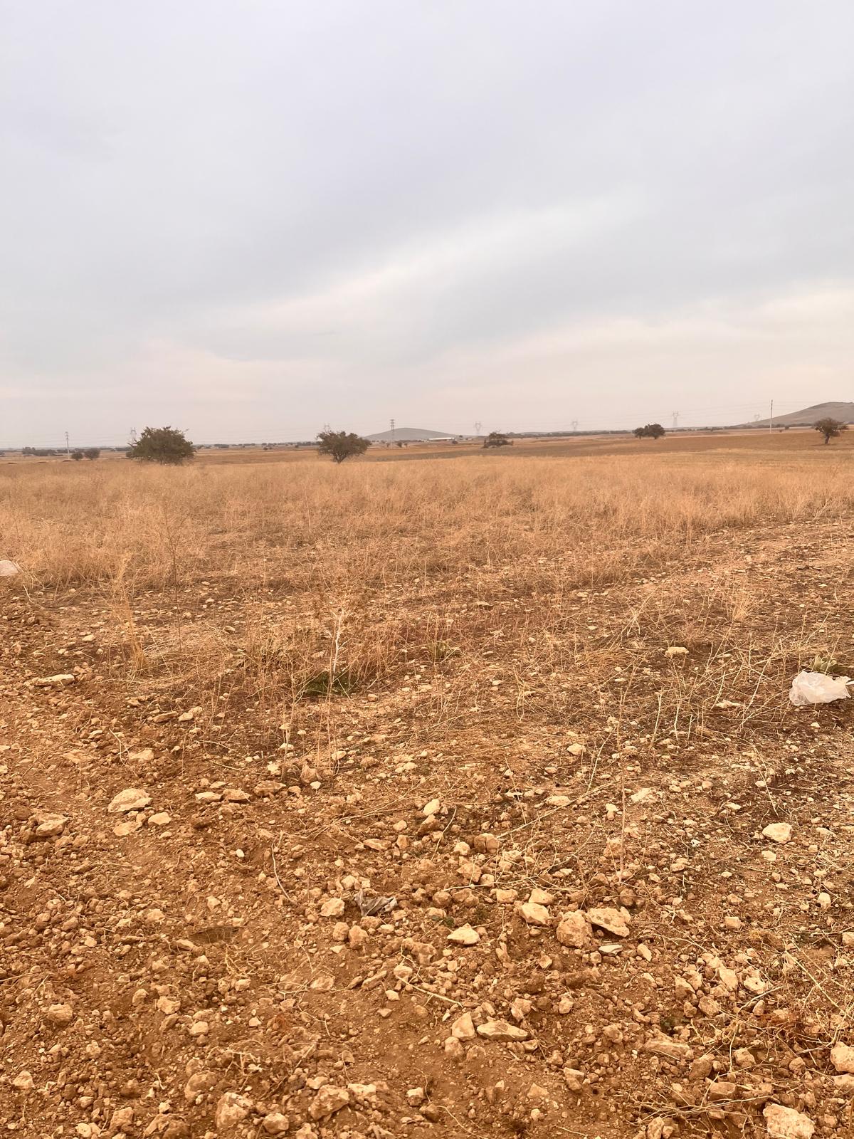 Fotoğraf