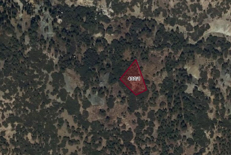 Fotoğraf