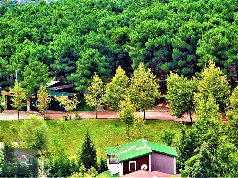 FOREST LİFE SİTESİ'NDE ARAKAT 3+1 //SON BİR HAFTA İLK GELEN ALIR