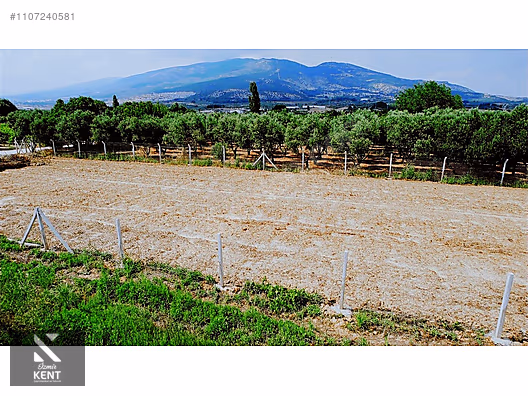 İlan Fotoğrafı