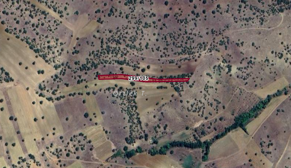 KONYA GÜNEYSINIR MEHMETALİ  KÖYÜNDE 2.042 M²  TARLA  SATILIKTIR