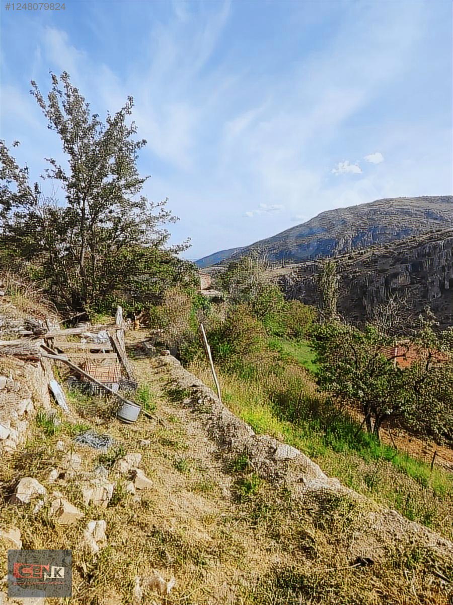 İlan Fotoğrafı
