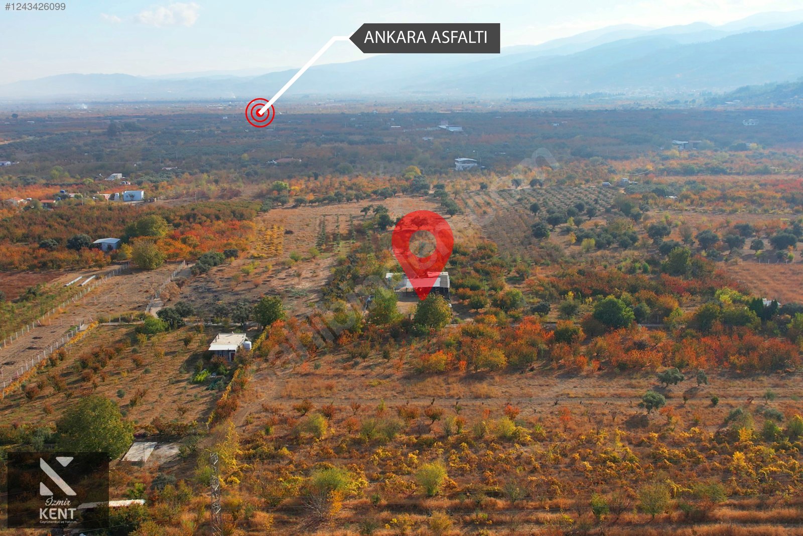Fotoğraf