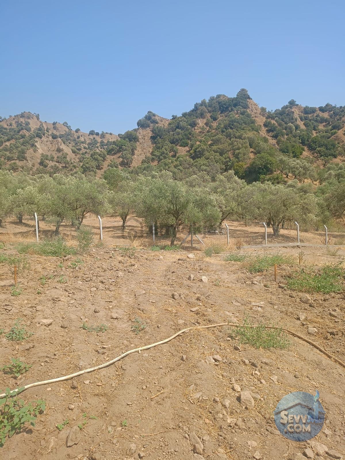 İlan Fotoğrafı