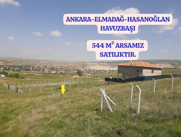 Fotoğraf