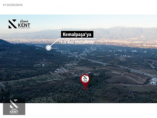 Fotoğraf
