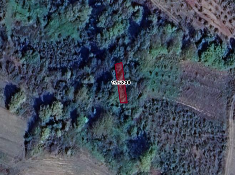 KOCAELİ İZMİT BULDUK  KÖYÜNDE 105  M²  TARLA  SATILIKTIR