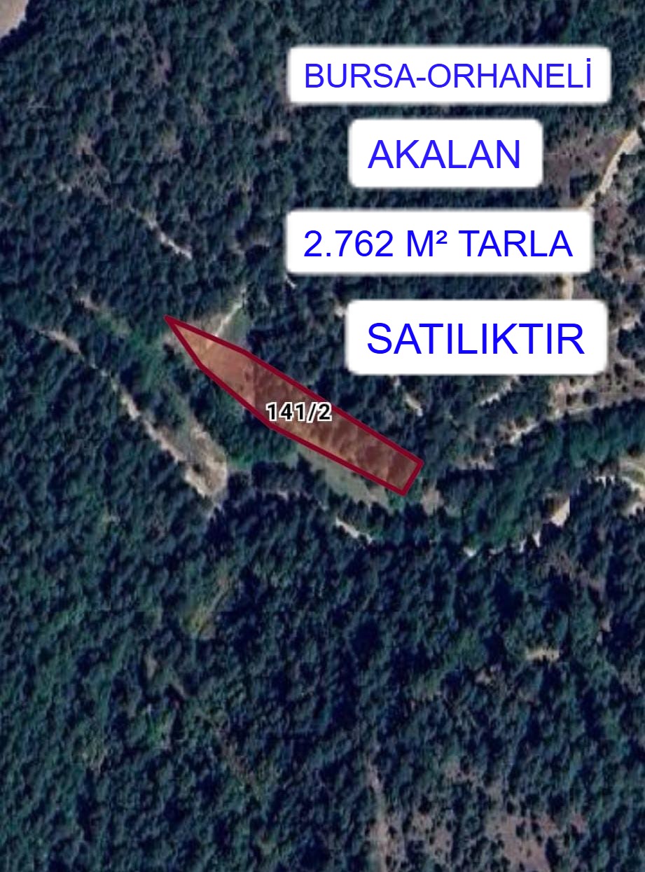 İlan Fotoğrafı