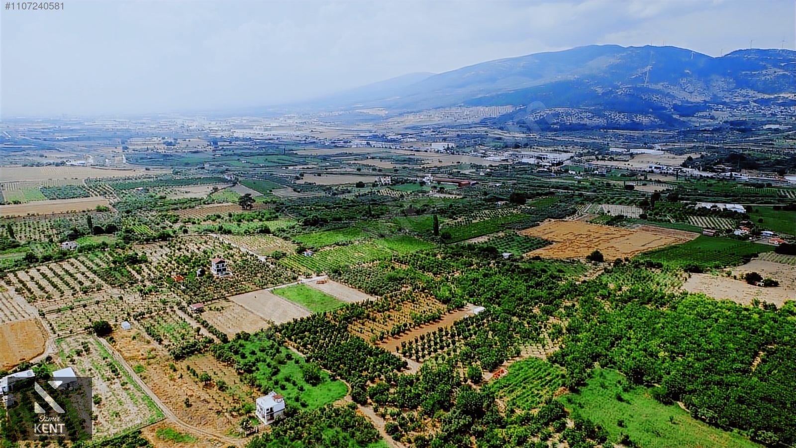 Fotoğraf