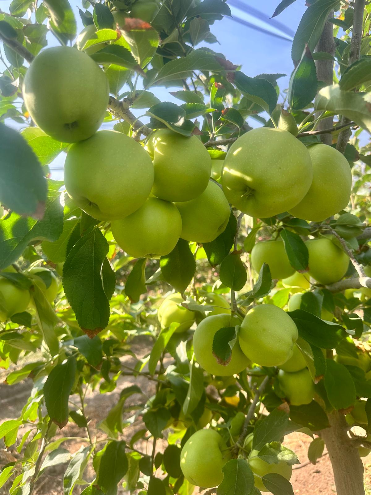 Fotoğraf