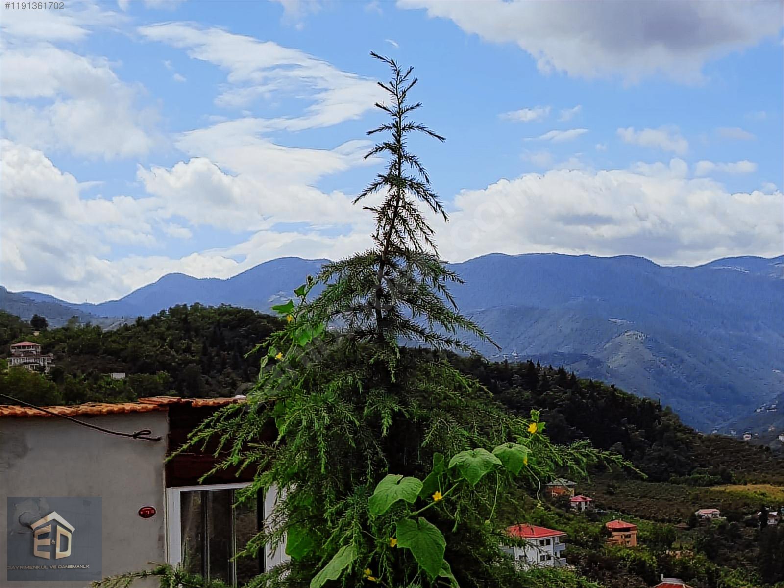 İlan Fotoğrafı