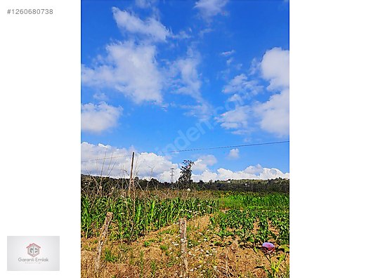 EFİRLİDE YATIRIMLIK 2.500M2 SATILIK ARSA