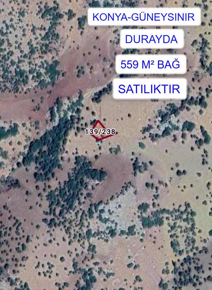 Fotoğraf