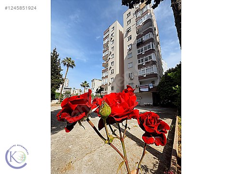 İlan Fotoğrafı