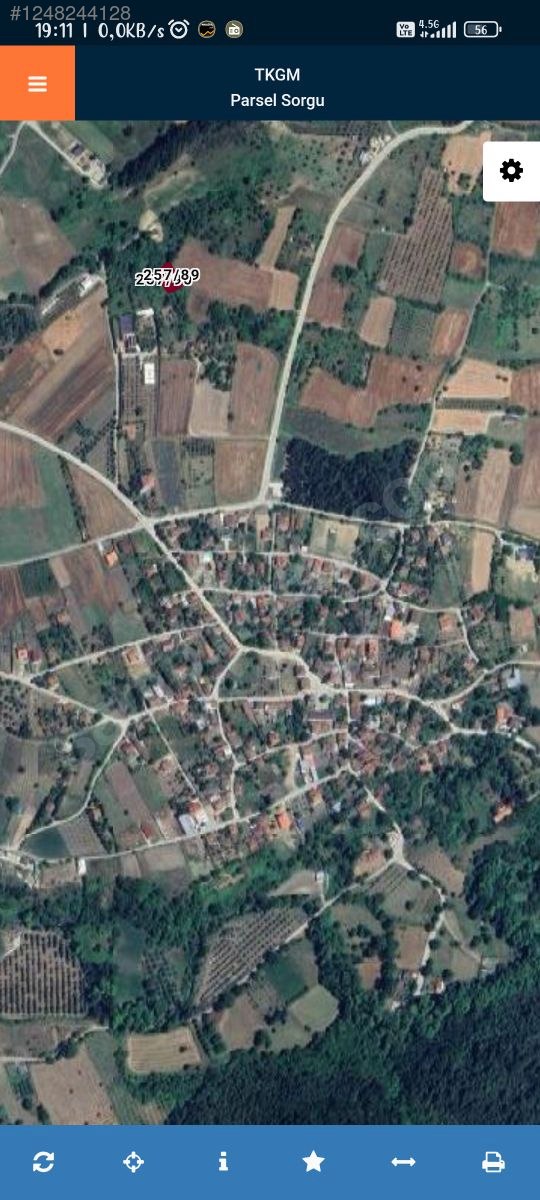 Fotoğraf