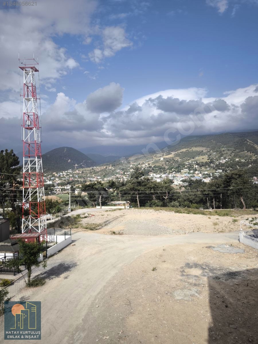 Fotoğraf