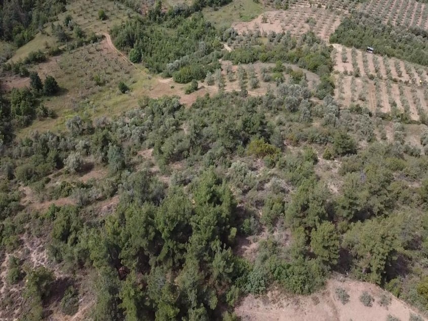 Fotoğraf