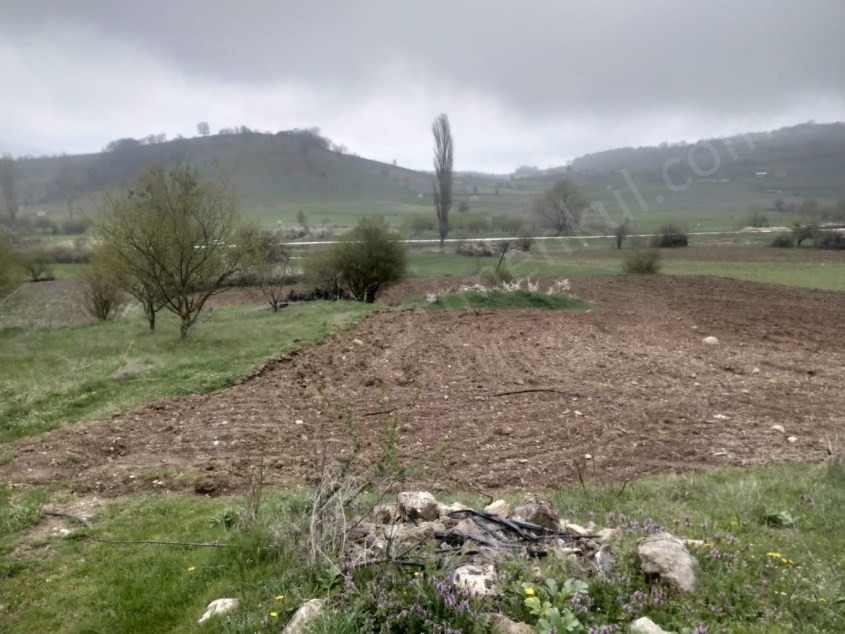 Fotoğraf