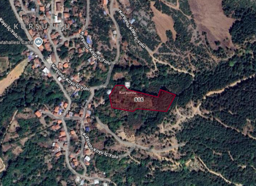 Fotoğraf