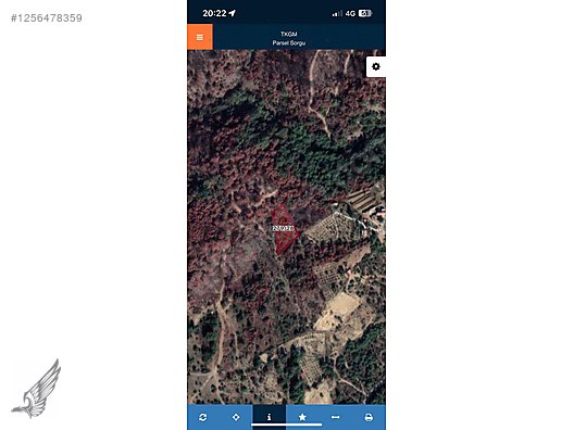 Seferihisar Orhanlı Köyü'nde Yatırıma Uygun 2.250 m² Zeytinlik