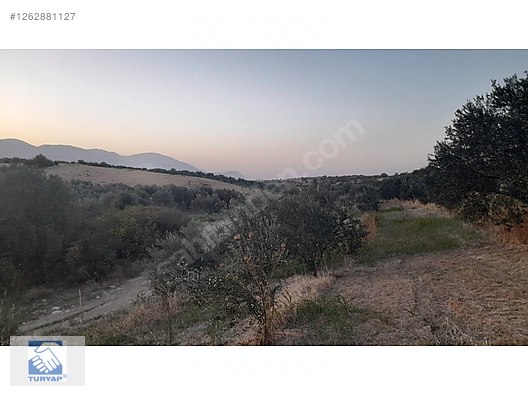 İlan Fotoğrafı