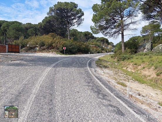 KOZAK HİSARKÖY MAH DE AYVALIK BERGAMA ANA ASFALTI KENARI 9100 M2 FISTIKLIKKOZAK 