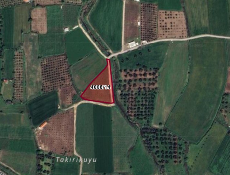 Fotoğraf
