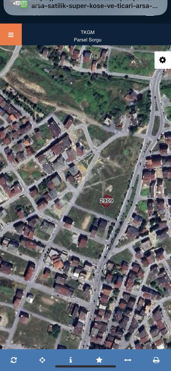 Fotoğraf