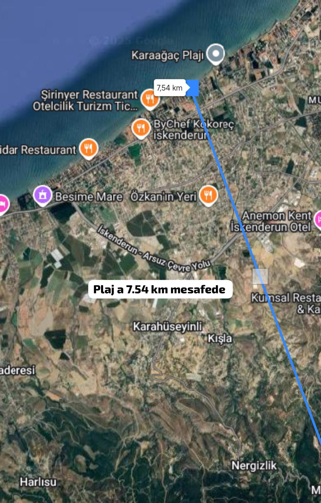 Fotoğraf