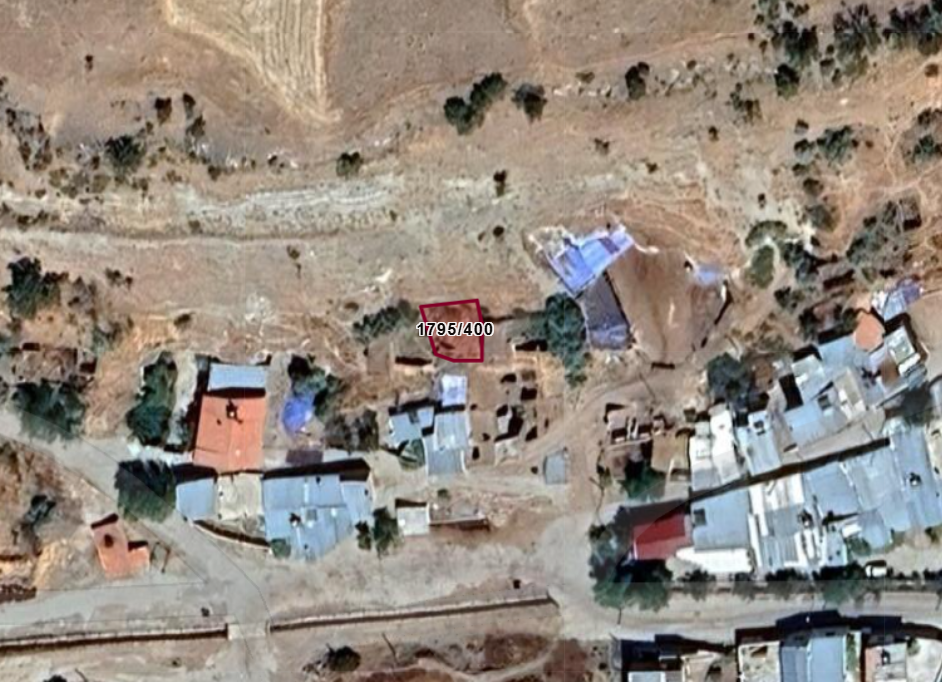 Fotoğraf