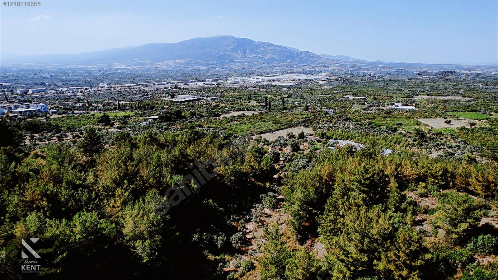 Fotoğraf