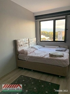 Fotoğraf