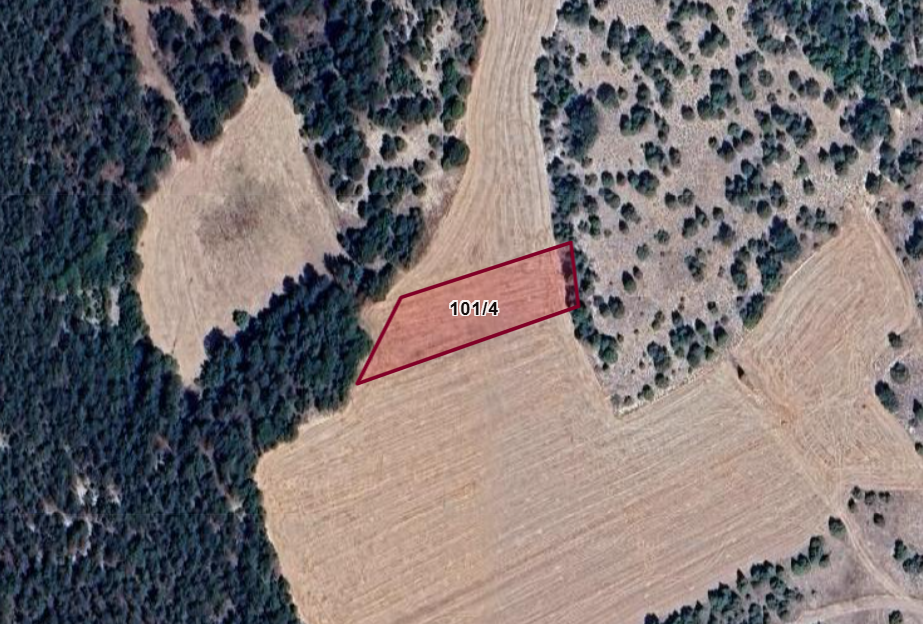 KÜTAHYA ÇAVDARHİSAR EFELER  KÖYÜNDE  1.876  M²  TARLA  SATILIKTIR