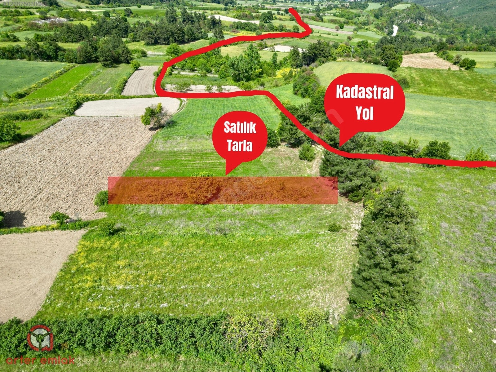İlan Fotoğrafı