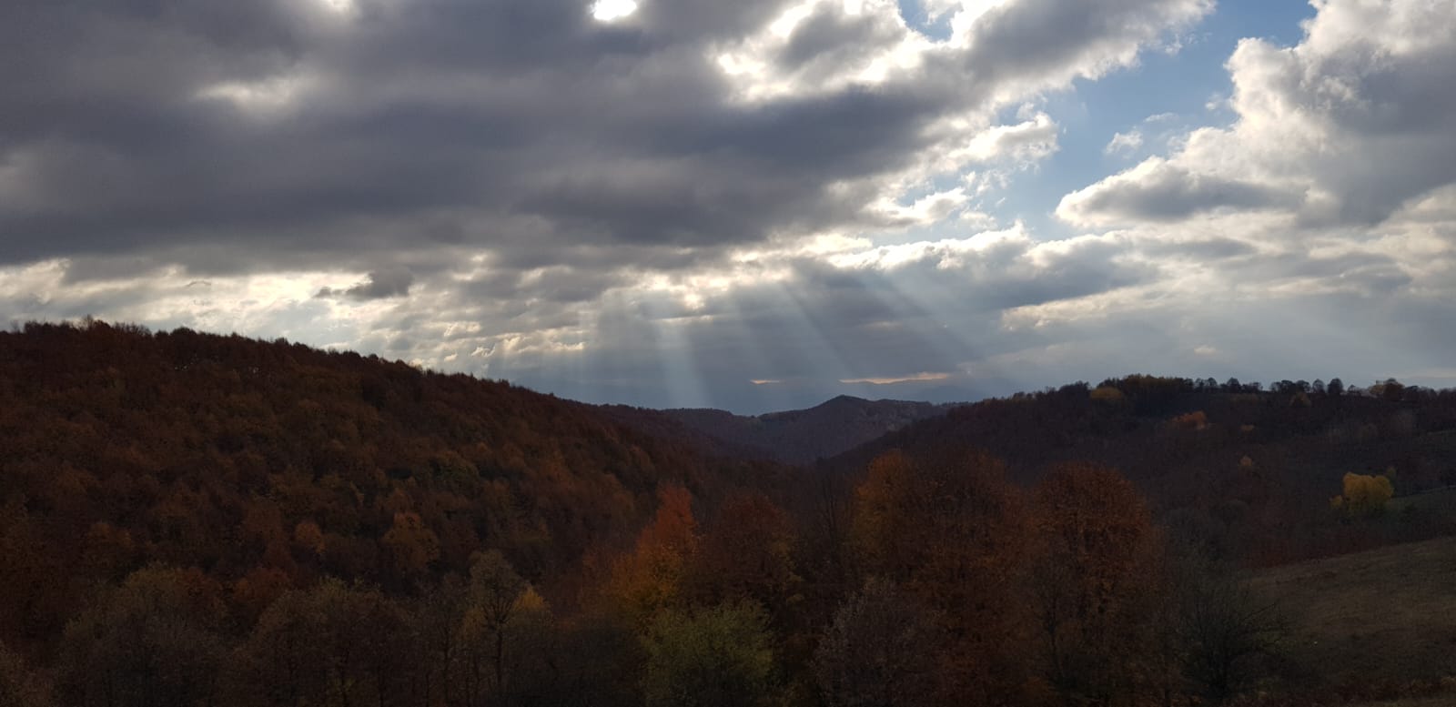 Fotoğraf