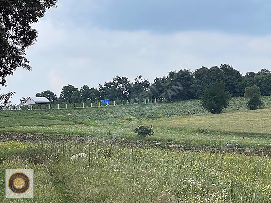 İNEGÖL DÖMEZ MH SATILIK TOPLAM 3.000M2